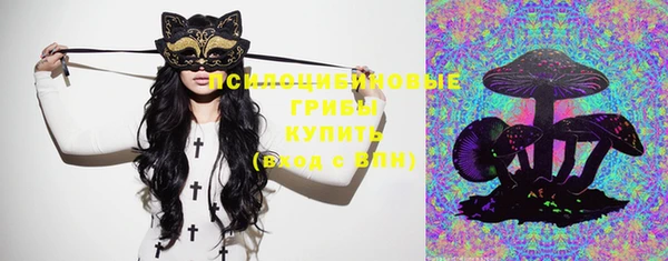 дурь Горняк