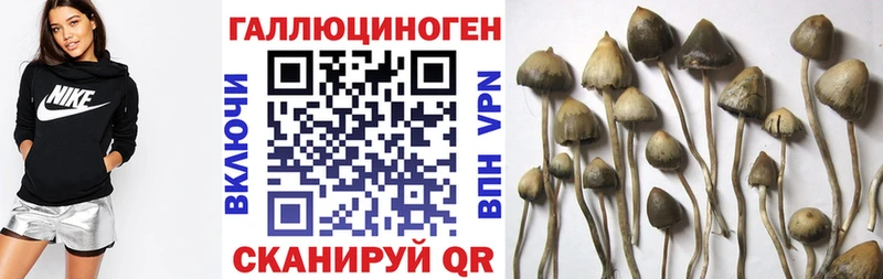 Псилоцибиновые грибы Magic Shrooms  Купить  Лебедянь 